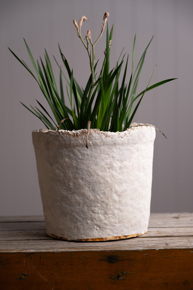 Big Wonky Pot