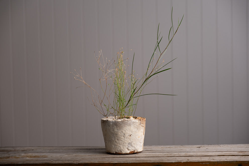 Medium Wonky Pot