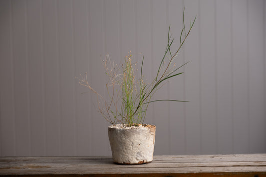 Medium Wonky Pot
