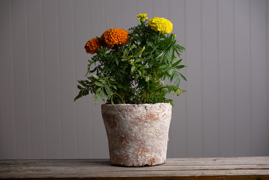 Big Wonky Pot