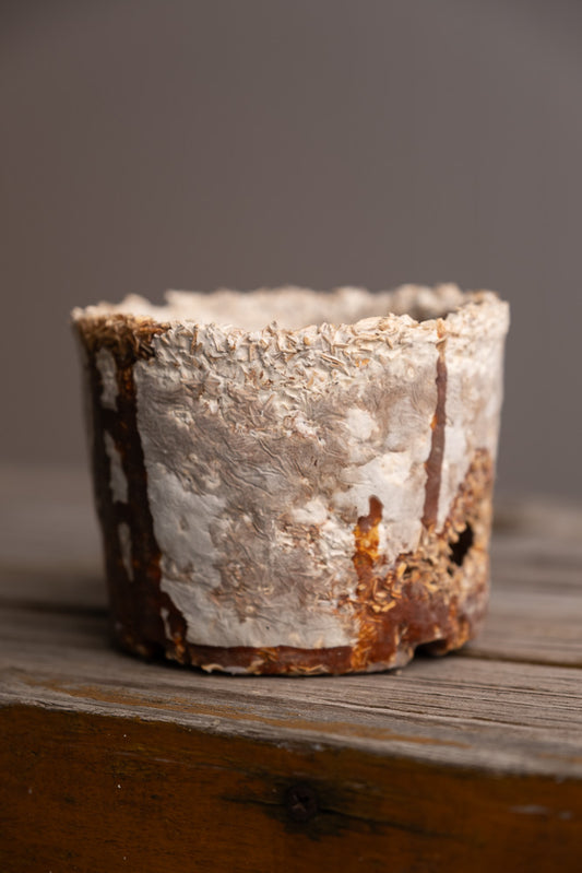 Little Wonky Pot