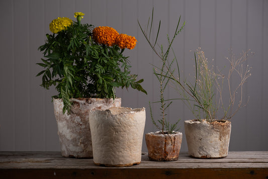 Wonky Cover Pot (for 140mm/6" pot)